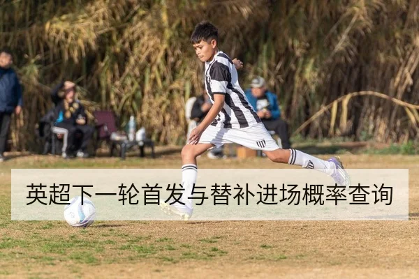 英超下一轮首发与替补进场概率查询