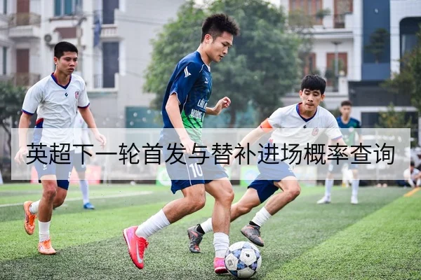 英超下一轮首发与替补进场概率查询